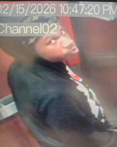 Burglary suspects vanish after stealing firearms from apartment