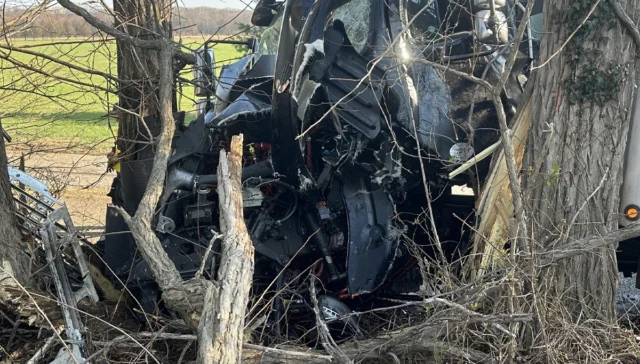 One person injured after box truck crashes into trees, spills diesel fuel in roosevelt borough