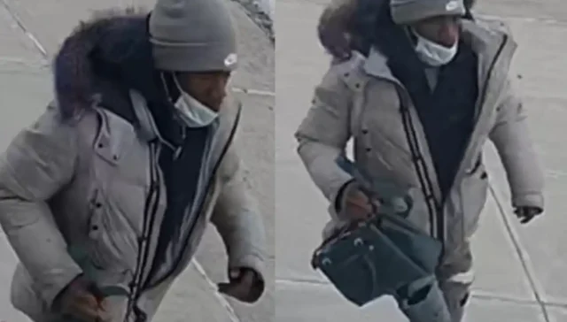 Purse snatcher targeting elderly women in queens