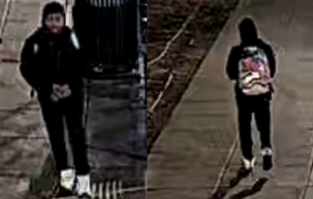 Half street holdup ends with robber taking phone and password