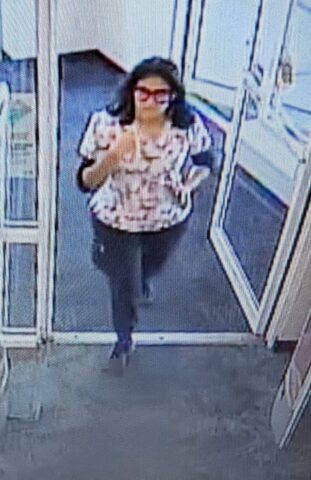 Mystery woman sought by hamilton township police