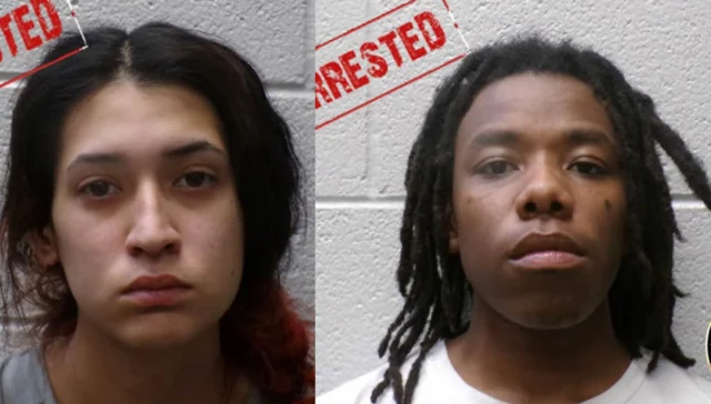Couple charged with felony animal cruelty after dogs found abandoned in henderson county home