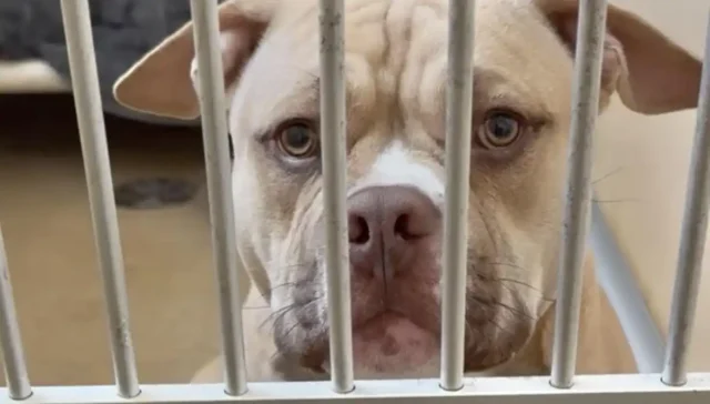 Shore News Network  Breaking News and Live Updates Across New Jersey New York and Pennsylvania   Page 137