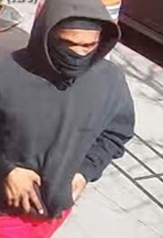 Armed thief rips chain from woman neck in bronx