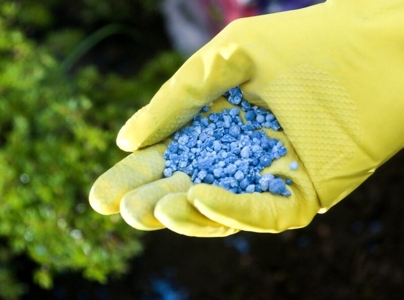 New jersey zone 7: what to plant and what to do in your garden this week to prepare for summer