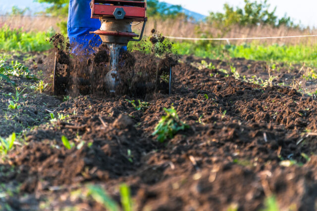 New jersey zone 7: what to plant and what to do in your garden this week to prepare for summer