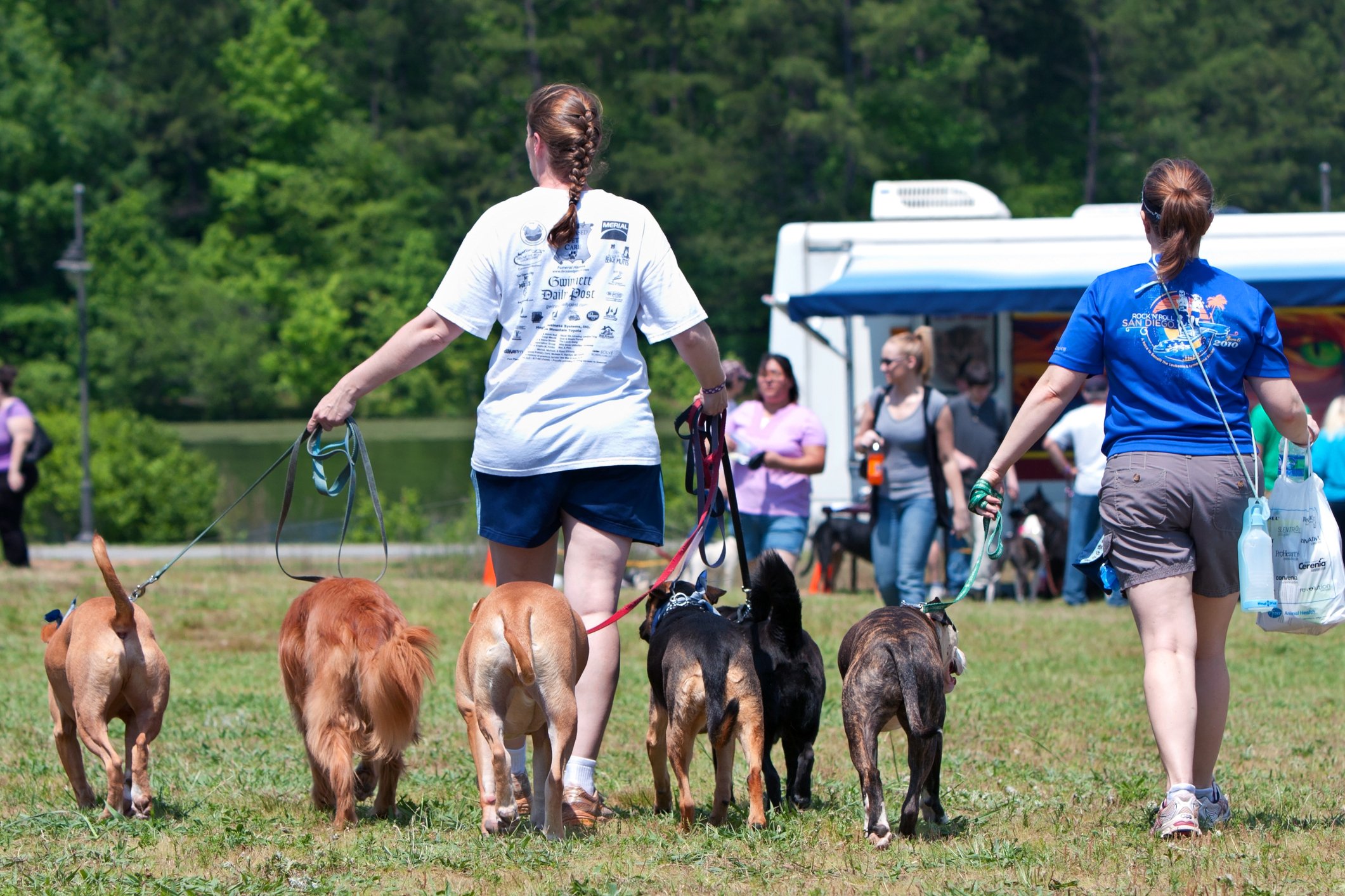 Jackson Council rejects mayor’s dog ownership cap as faulty knee-jerk to address illegal petting zoo