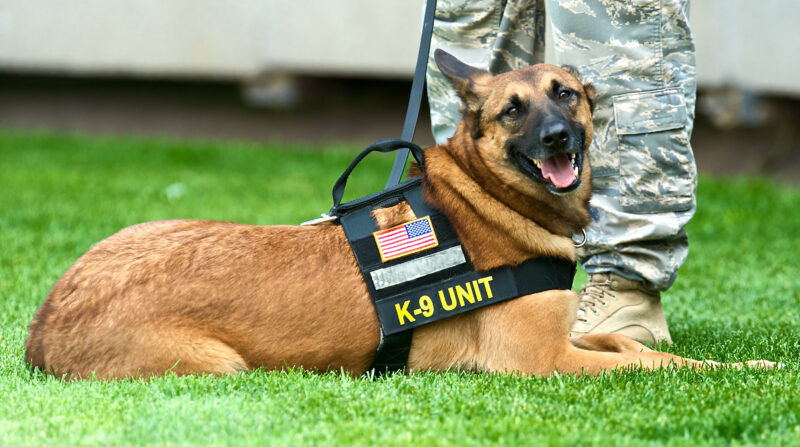 Lancaster county da awards $19k to launch ephrata police k9 unit, patrols expected by november Lancaster county da awards $19k to launch ephrata police k9 unit, patrols expected by november