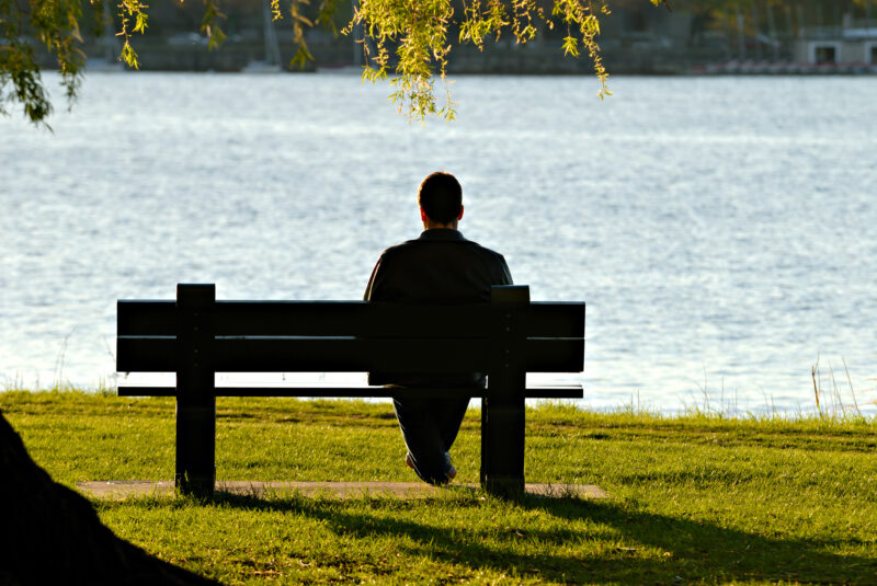 Person sitting on a park bench by a lake, facing the water with tree branches overhead.
