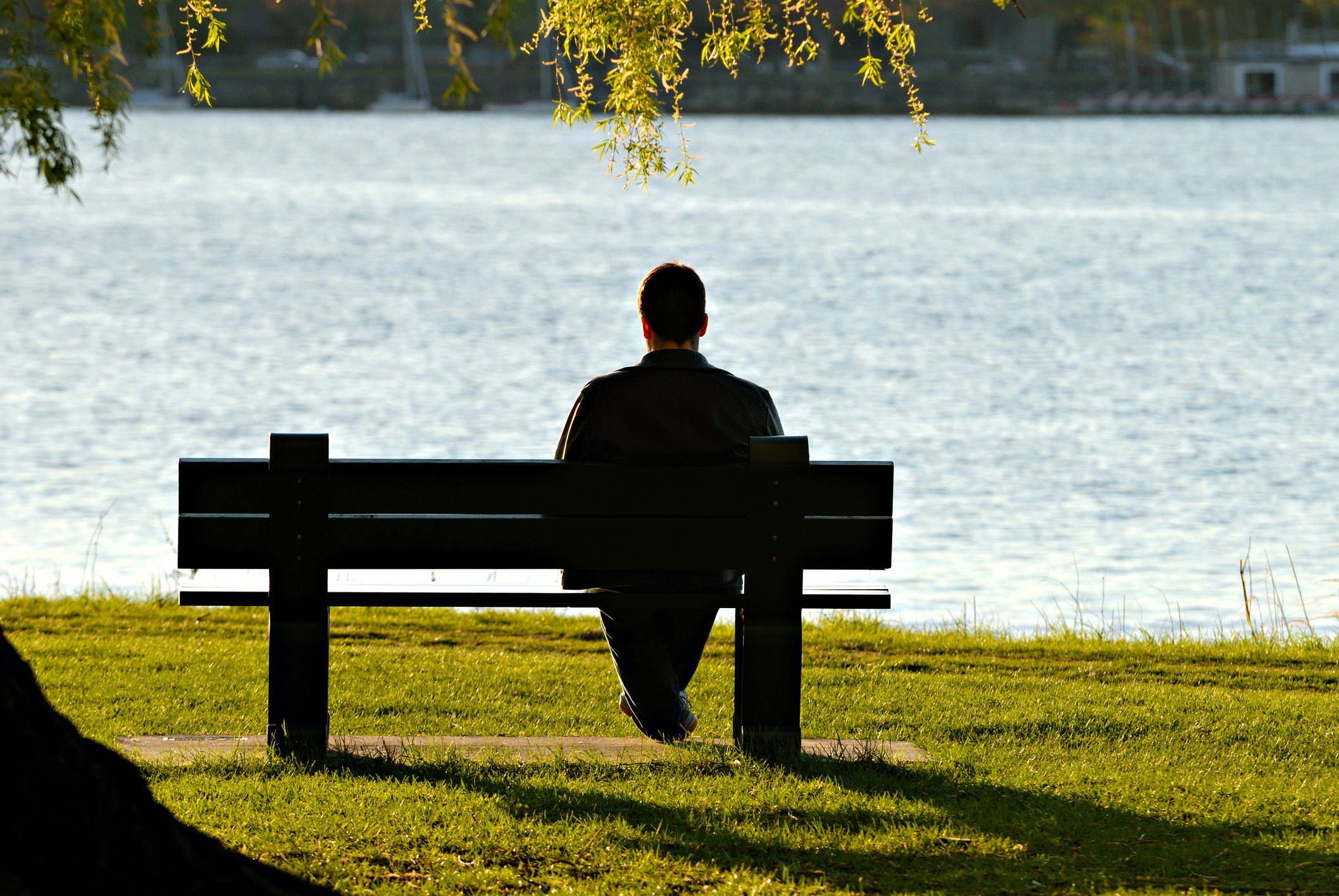 New York to ban registered sex offenders from any public parks