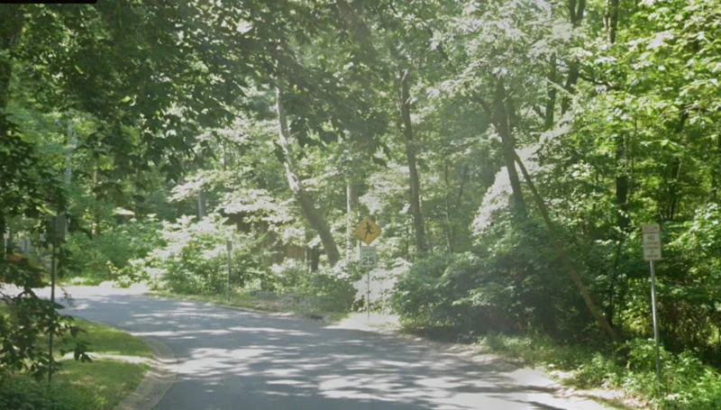 No updates on investigation of human skull found in wilmington-area creek