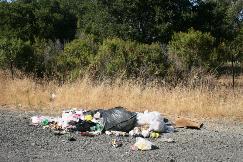 Jackson has a growing litter and trash problem and mayor, council want to clean it up, according to paid press release ahead of election