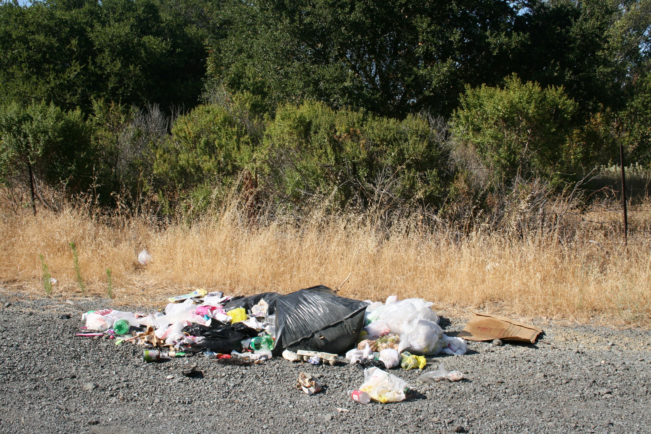 Jackson has a growing litter and trash problem and Mayor, Council want to clean it up, according to paid press release ahead of election