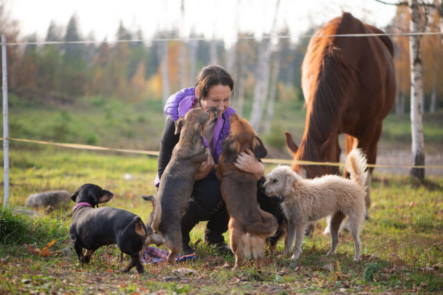 Jackson’s 5-dog ordinance misses the mark, punishing residents instead of fixing illegal petting zoo