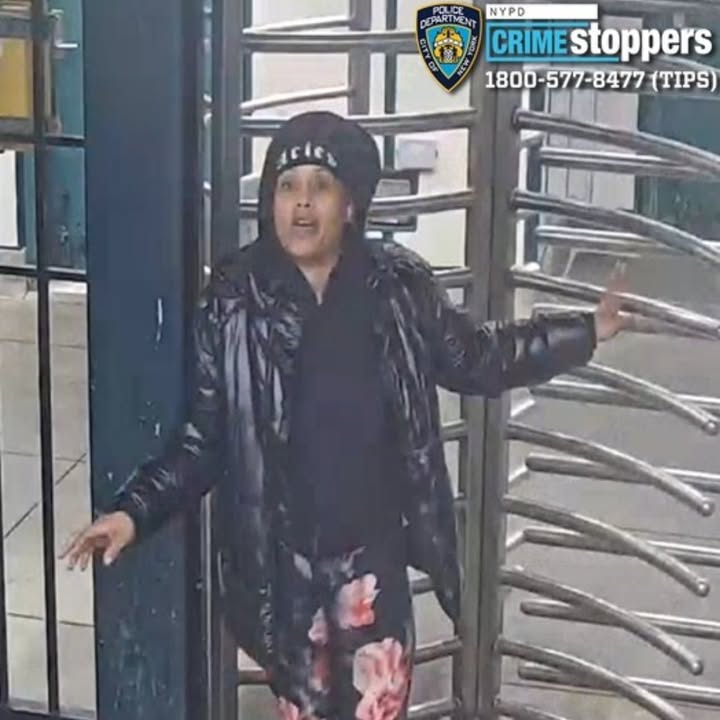 Man pepper-sprayed on Bronx 2 train near 225th Street as suspect flees station