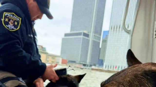 Brick police k9 teams join fbi-led nyc port drug search