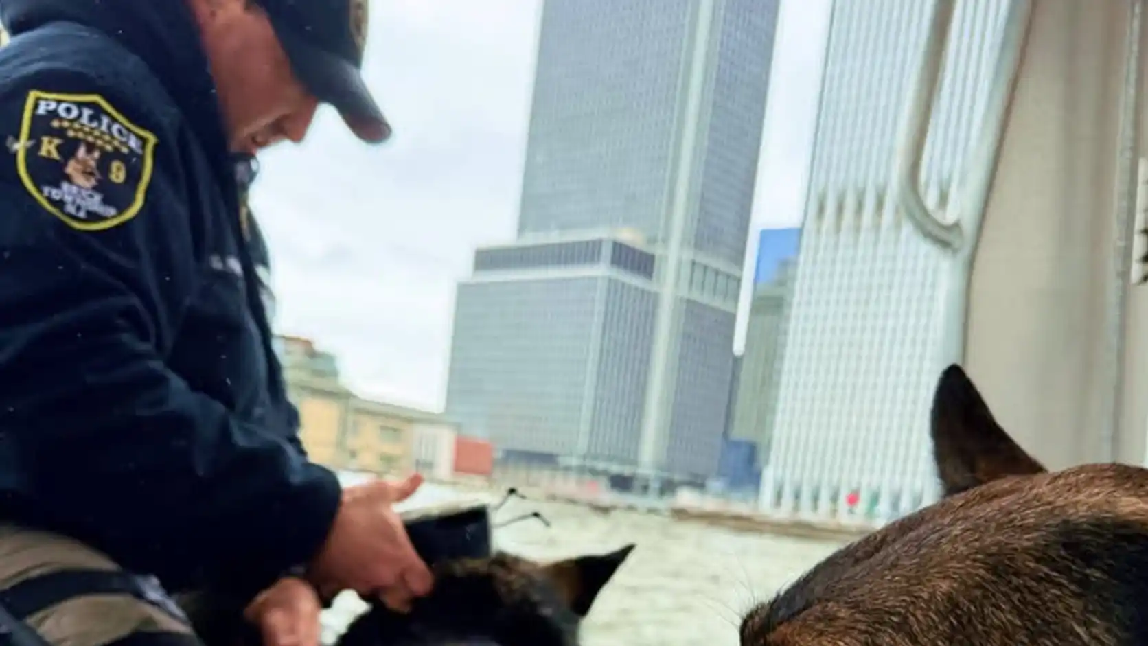 Brick police K9 teams join FBI-led NYC port drug search