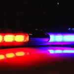 Woman accused of stabbing man in neck as he slept in massapequa basement