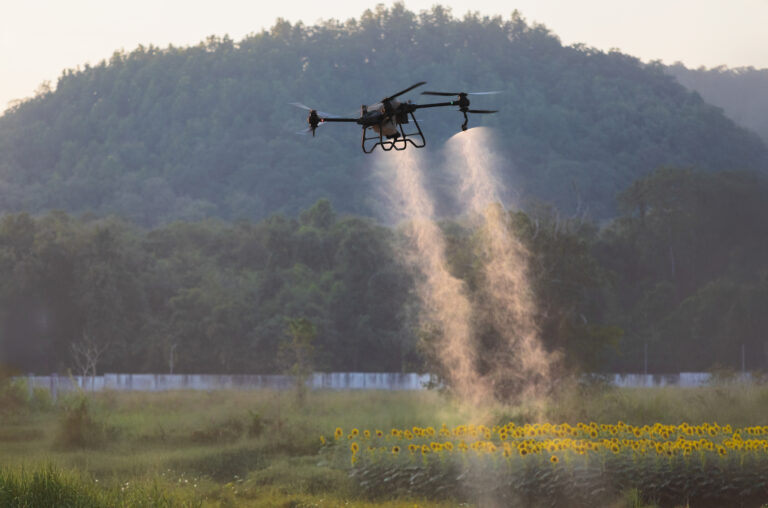 Quadcopter drone spraying liquid over a sunflower field with a hillside in the background at dusk.
