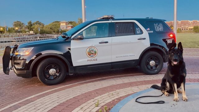 Drone and k9 track fleeing suspect through cattails leading to gun bust in syracuse
