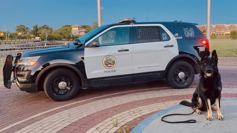 Drone and k9 track fleeing suspect through cattails leading to gun bust in syracuse