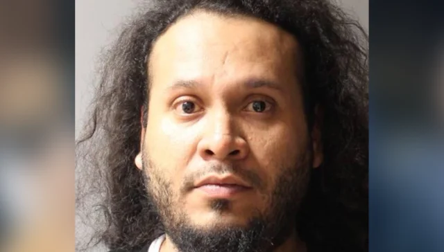 Close-up portrait of a man with long, curly dark hair and a trimmed beard, looking straight ahead against a plain gray background.