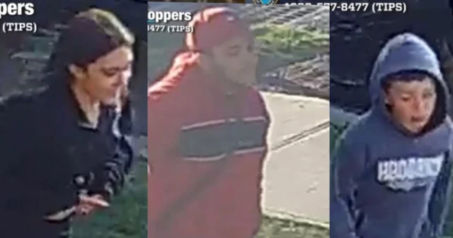 Staten island robbery: 11-year-old bicyclist targeted by group of five suspects