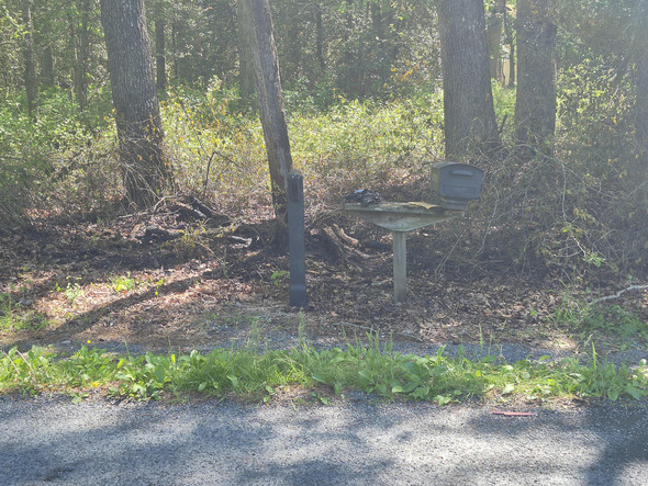 Mailbox fire under investigation in delmar, causes minor damage, no injuries reported