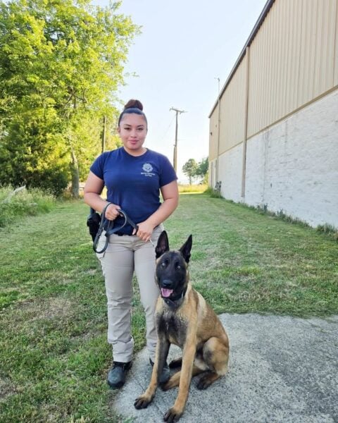 Newport news police introduce two new k9s set to begin patrol training