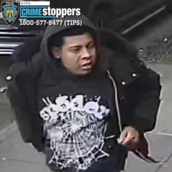 Woman dragged into bronx elevator in terrifying attempted rape attack