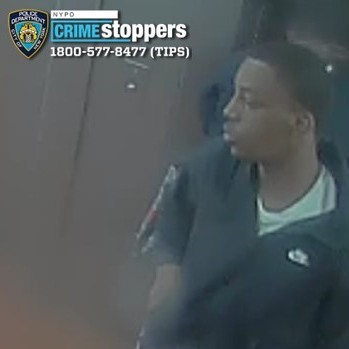 Woman shot in arm during brooklyn dispute as gunman opens fire outside stillwell avenue building | photo licensed by shore news network. Woman shot in arm during brooklyn dispute as gunman opens fire outside stillwell avenue building