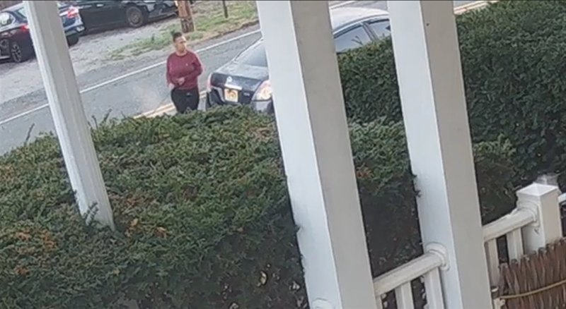 Woman caught on camera abandoning dog beside new jersey road sparks police hunt