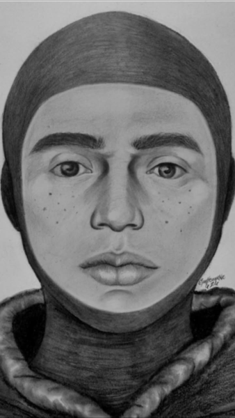 Woman attacked in brooklyn park as nypd launches hunt for rape suspect Woman attacked in brooklyn park as nypd launches hunt for rape suspect