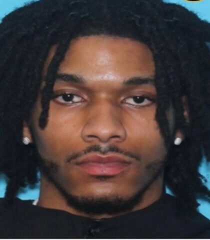 Hit and run suspect vanishes after woman left fighting for life in pittsburgh area