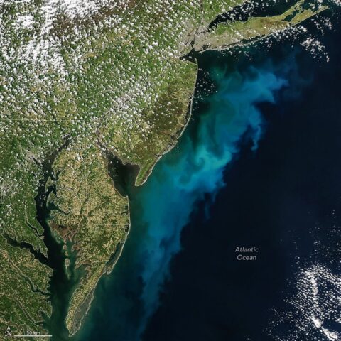 Atlantic ocean turns caribbean blue off new york to maryland as massive spring bloom spreads