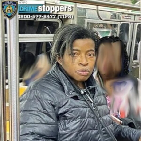 Woman, 66, punched and bitten on q train at brooklyn subway station, nypd says