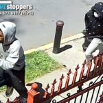 Two suspects sought after 68-year-old man robbed of necklaces in bronx