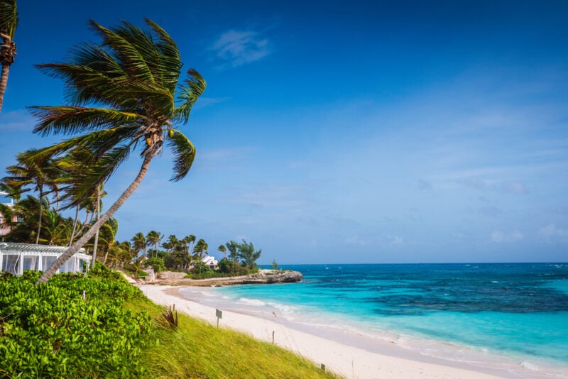 If you set sail south from cape may, you'll end up on this exotic tropical island overrun by wild swimming pigs If you set sail south from cape may, you'll end up on this exotic tropical island overrun by wild swimming pigs
