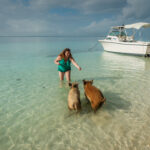 If you set sail south from cape may, you'll end up on this exotic tropical island overrun by wild swimming pigs