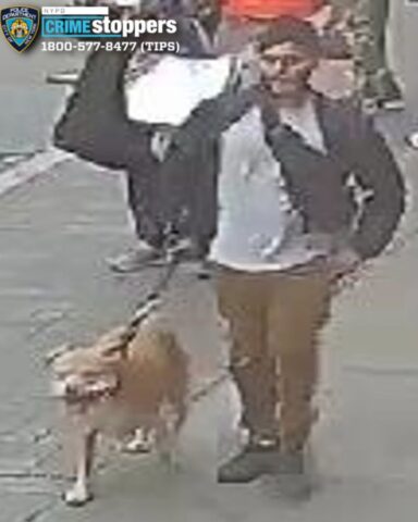 Nypd searches for two suspects after man slashed during harlem assault