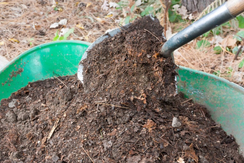 Toms river township takes your garden and landscaping to a new level with free mulch and wood chips Toms river township takes your garden and landscaping to a new level with free mulch and wood chips