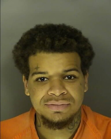Myrtle beach man sentenced to 12 years for domino's pizza robbery
