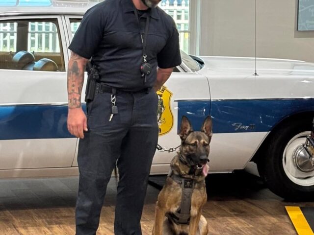 Dover police k-9 venom graduates state academy, joins patrol division