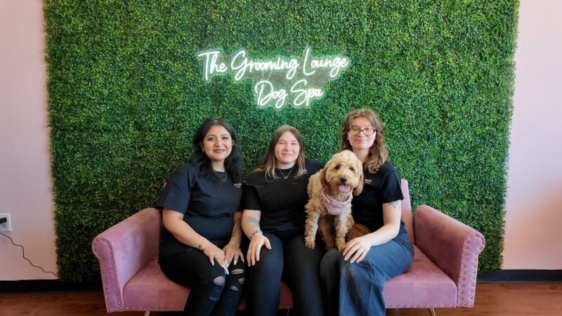 Two new businesses open in toms river: dog grooming and middle eastern cuisine Two new businesses open in toms river: dog grooming and middle eastern cuisine
