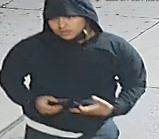 Wallet snatcher strikes after bronx street dispute
