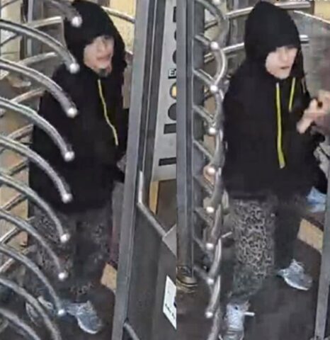 Cell phone ripped from rider's hands on nyc train