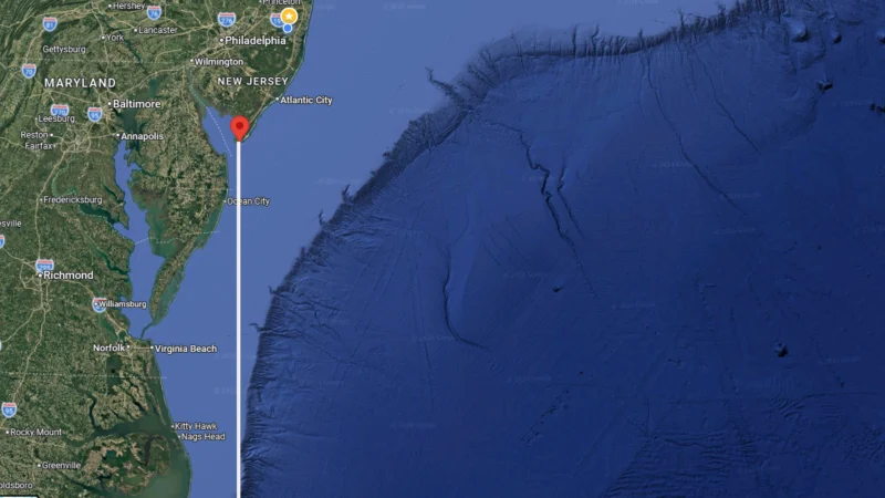 If you set sail south from cape may, you'll end up on this exotic tropical island overrun by wild swimming pigs If you set sail south from cape may, you'll end up on this exotic tropical island overrun by wild swimming pigs