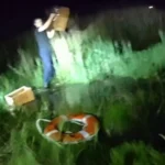 Cat stranded in mastic beach marsh saved after late-night rescue by suffolk county officers