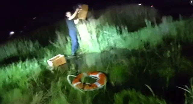 Cat stranded in mastic beach marsh saved after late-night rescue by suffolk county officers