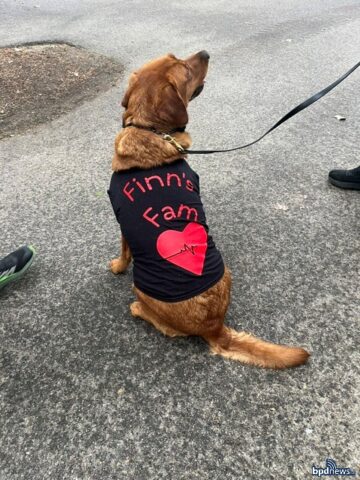 Copper steals the show at new england heart walk in boston